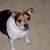 Linda Marie's profile image
