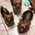 Debby DeMott's profile image