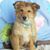 Ron Kolb's profile image
