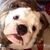Scott Fenstermaker's profile image