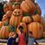 Kimberly Connell's profile image