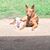 Brandi Grant Matthis's profile image