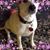 Maureen La Burt's profile image