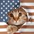 Deb Potts's profile image
