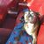 Karen Lucas's profile image