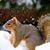 Jackie Williams's profile image