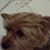 Patricia Longerbeam's profile image