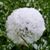 Becky Thorp Glenn's profile image