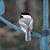 Candy Butterfield's profile image