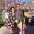 Mindy Ladner's profile image