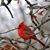 Marcelle Chambers's profile image