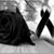 Asturia G. Pincay's profile image