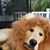 Heather Stover's profile image