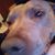 Amy Shaw's profile image