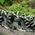 Leslie Wasson's profile image