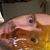 Kevin Vitale's profile image