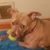Valerie Galbraith's profile image