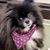 Karen Casamento's profile image