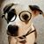 Lauren Hollier's profile image