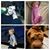 Jason Crow's profile image