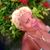 Arlis Ball's profile image
