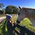 Amy Schoper's profile image