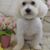 Debra Harrison's profile image