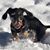Jemearl Smith's profile image