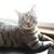 Charlene Rogers's profile image