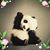 Debbie Mount's profile image