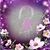 Pat Barki's profile image