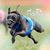 Stelios Viennas's profile image