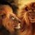 Leoncio Arce's profile image