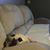 Brett Guercio's profile image