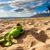 Kermit Fischer Kipper's profile image