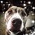 Kathryn Bolin's profile image