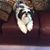 Gail Phebus's profile image