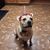 Erica Clute-Cubbin's profile image