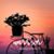 Sandra Baillargeon-Sheridan's profile image