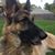Michael Murphy's profile image