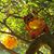 Anne Mello's profile image