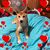 Amy LaDale Shew Martin's profile image