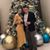 Kim Greeley's profile image