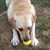 Amy Van Dyke's profile image