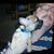 Charles Etheridge's profile image