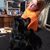 Angie Allain's profile image