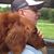 Steve Hamelly's profile image