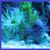 Viotti Andrea's profile image