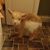Verilee Herpich's profile image