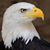 James O'Maga's profile image